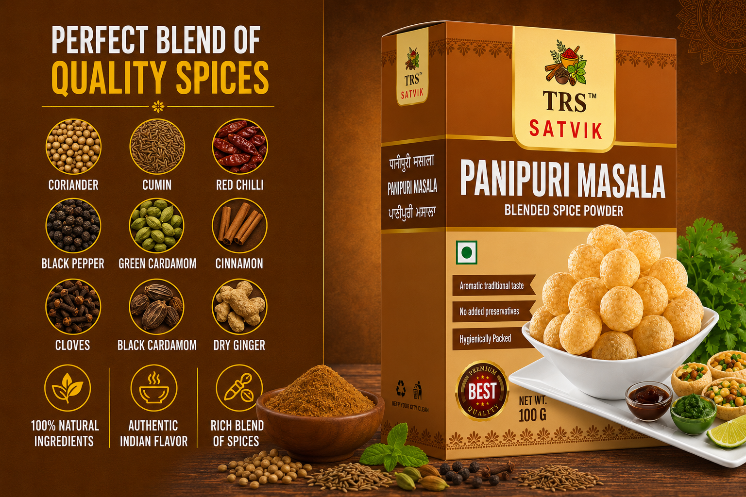 TRS Satvik Panipuri Masala (100gm)